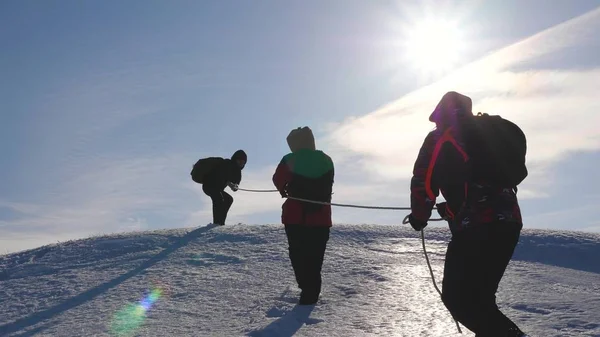 Equipo de gente de negocios subir a la cima de su éxito. Trabajo en equipo gente de negocios. tres escalador escalar la cuerda en la montaña nevada. personas trabajan juntas para superar las dificultades . —  Fotos de Stock