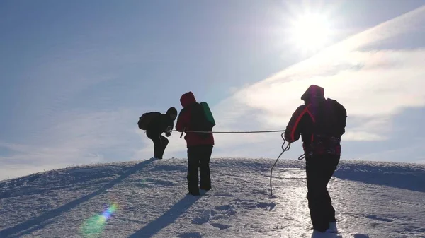 Команда деловых людей поднимается на вершину своего успеха. Командные деловые люди. Три альпиниста карабкаются по снежной горе. люди работают вместе, чтобы преодолеть трудности . — стоковое фото