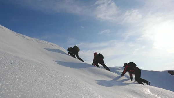 Командное желание победить. Альпинисты поднимаются на вершину снежной горы на Аляске. Путешественники в Арктике на холме в ярких лучах солнца. Сибирская концепция спортивного туризма . — стоковое фото