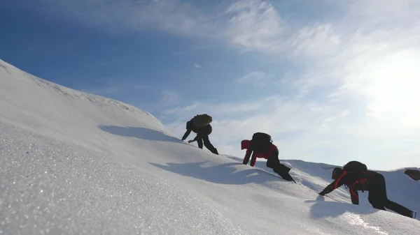 teamwork desire to win. Climbers climb to the top of a snowy mountain in Alaska. travelers in the arctic on a hill in the bright rays of the sun. Siberia concept of sports tourism.