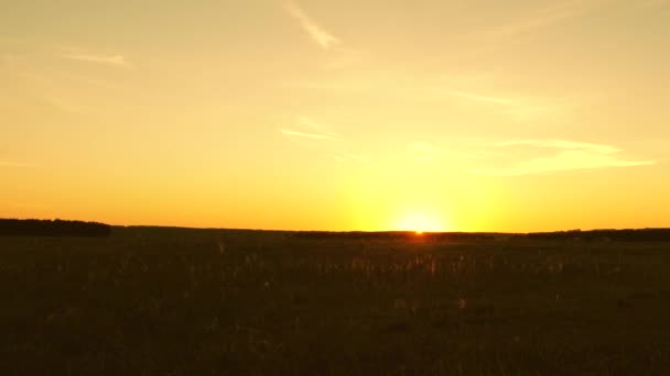 春のフィールドで夕日。夏の草原に昇る日の出。地平線に太陽が沈む. — ストック動画