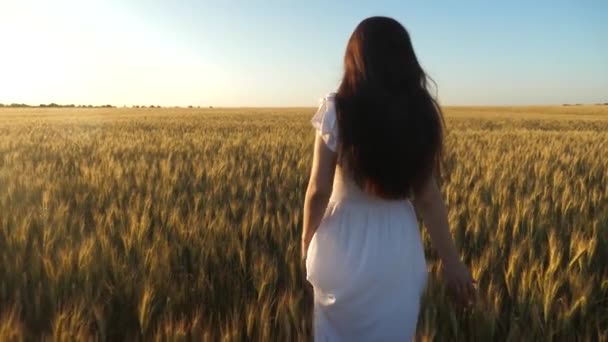 Uma menina caminha através de um campo de trigo maduro e toca as espigas de grãos com as mãos. Movimento lento. Mulher bonita correndo através do campo com trigo dourado contra o céu . — Vídeo de Stock