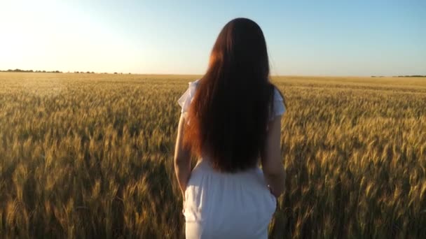 Schöne Mädchen geht über ein Feld mit reifem Weizen. Zeitlupe. Frauen gehen mit goldenem Weizen gegen den Himmel über das Feld. umweltfreundlicher Weizen. Ökotourismus — Stockvideo