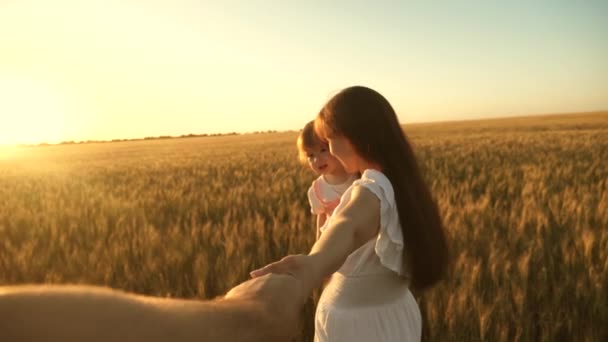 Familia feliz corriendo por el campo tomados de la mano. hermosa niña con su hija camina en el campo con trigo, sosteniendo su amada mano de hombre. feliz madre, niño y papá corren cogidos de la mano, cámara lenta — Vídeo de stock