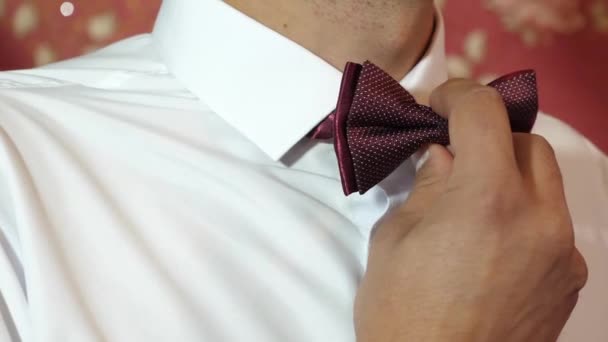 Homem endireita arco-gravata de perto. o músico prepara-se para a realização. O homem endireita a gravata. Jovem bem vestido ajusta bowtie vermelho clássico. Close-up . — Vídeo de Stock