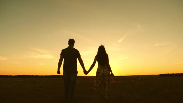 Young couple in love walking across the field holding hands. girl and man go to the sunset. happy family walks in the park in summer in the rays of the sun. happy family concept — Stock Video