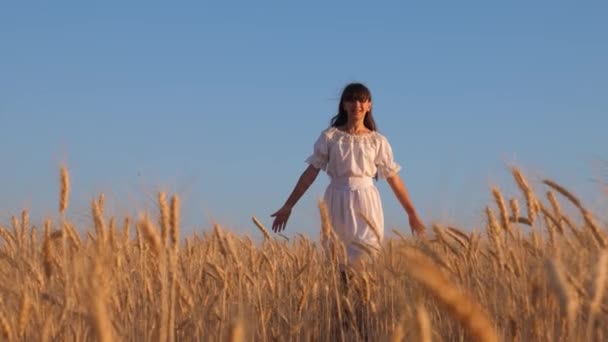 白いドレスの女の子は熟した小麦のフィールドに移動し、女の子の手は、小麦の成熟した耳、スローモーションをタッチします。農業ビジネスコンセプト環境に優しい小麦の収穫. — ストック動画