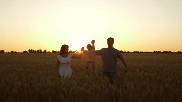 Fille heureuse avec sa mère et son père marchent à travers le champ de blé mûr, le bébé s'effrite. Un nourrisson avec des parents jouant et souriant dans les champs avec du blé. concept de famille heureuse et d'enfance — Video