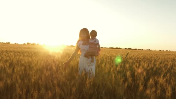 Fille heureuse avec sa mère marchent à travers le champ de blé mûr, le bébé est crumpling. bébé dans les bras de la mère joue et sourit sur le terrain avec du blé. concept de famille heureuse et d’enfance — Video