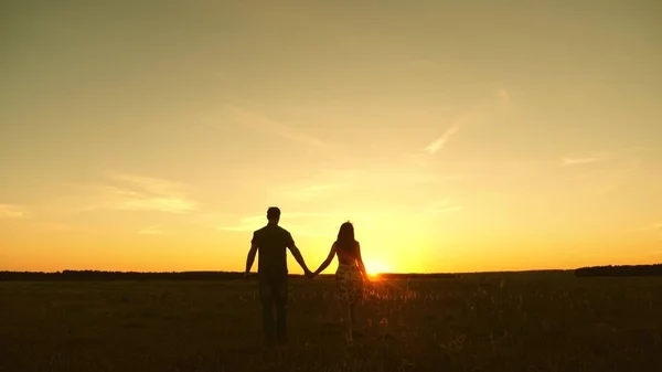 Pareja joven enamorada caminando por el campo tomados de la mano. chica y hombre van al atardecer. familia feliz camina en el parque en verano bajo los rayos del sol. concepto familiar feliz —  Fotos de Stock