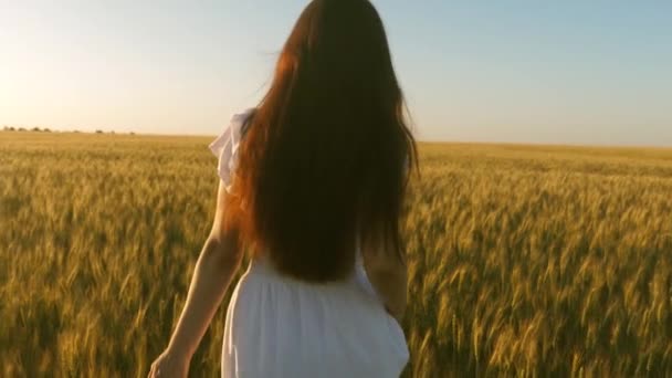 Piękna kobieta chodząca w polu ze złotą pszenicą. Dziewczyna spacery po polu dojrzałej pszenicy i dotyka uszy ziarna z rękami. Zwolnionym. — Wideo stockowe