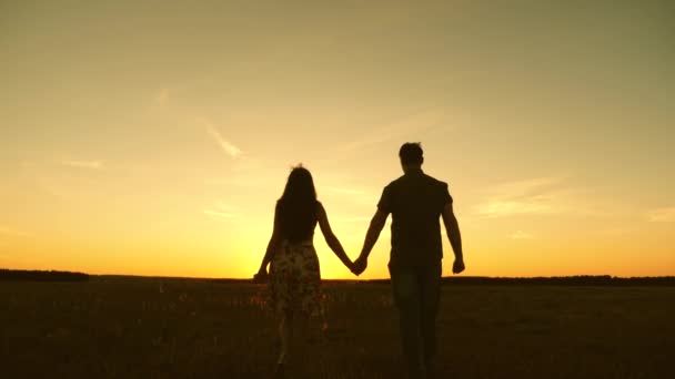 Happy Family reist hand in hand, in het veld in de stralen van de zon. Jong stel in liefde wandelen over het veld handen vasthouden. meisje en man gaan naar de zonsondergang. Gelukkig familieconcept — Stockvideo