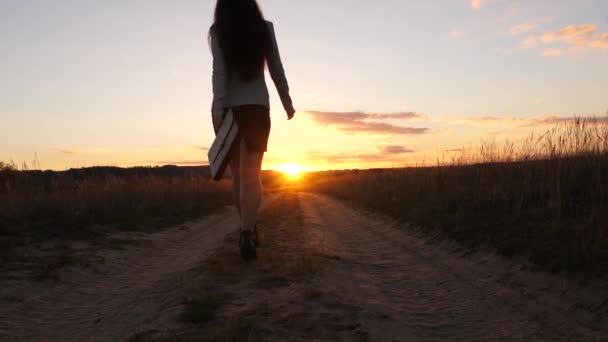 Uma mulher de negócios caminha ao longo de uma estrada rural com um tablet na mão, o sol miertsaet entre as pernas das mulheres. sexy mulher de negócios menina correndo no campo. sexy menina viaja no campo — Vídeo de Stock