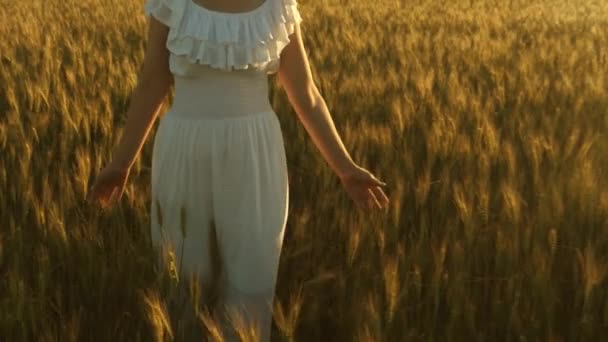 美丽的女孩走过一片成熟的麦田, 用她的手触摸着谷物的耳朵。慢动作。女人跑过田野与金色的小麦对天空。环保型小麦 — 图库视频影像