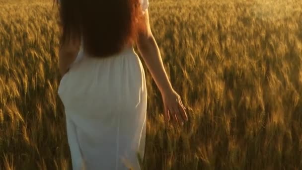Mulher atravessar o campo com trigo dourado contra o céu. linda garota caminha através de um campo de trigo maduro. Movimento lento. trigo amigo do ambiente. turismo ecológico — Vídeo de Stock