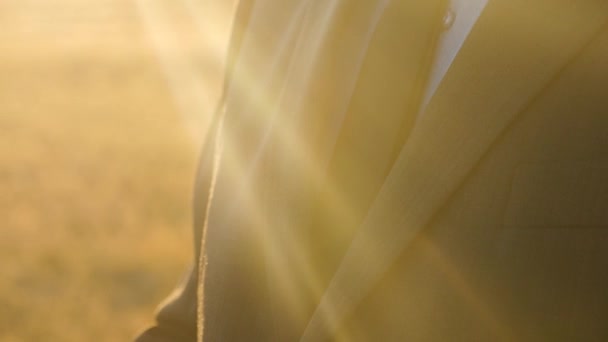 Agronomist in field works with tablet. farmer on a plantation with a smartphone in his hand writes a message. hands of business man working with tablet in bright rays of the sun. close-up — Stock Video