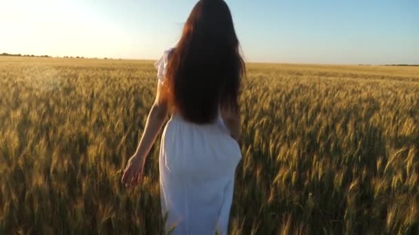 Una hermosa mujer camina por un campo con trigo dorado. Una niña camina a través de un campo de trigo maduro y toca sus orejas con sus manos. Movimiento lento . — Vídeos de Stock
