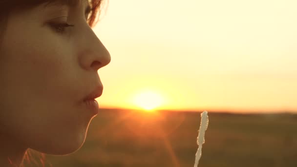 Beautiful woman blowing transparent soap bubbles and smiling. Slow motion. young girl playing in park and blowing bubbles. Beautiful girl blowing soap bubbles in park in spring, summer and smiling. — Stock Video