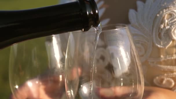 Teamwork of a loving couple. celebrating success and victory. pouring sparkling wine from a bottle into transparent wine glasses. champagne sparkles and foams in the sun. Slow Motion — Stock Video