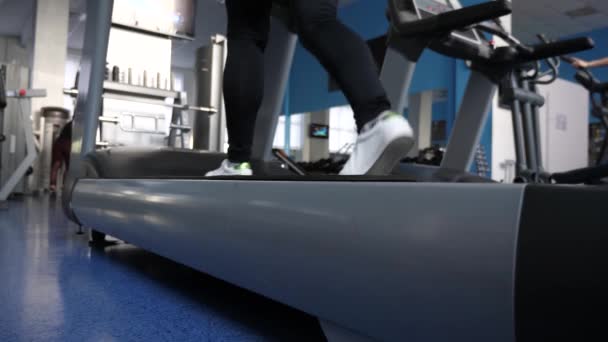 Una ragazza si allena su un tapis roulant. camminare in palestra. fitness club donna impegnata a camminare. concetto di stile di vita sportivo. perdita di peso in palestra. rafforzare i muscoli delle gambe camminando. primo piano. carico cardio . — Video Stock