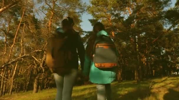 母亲和女儿的旅客在树林里带着一个背包。在松树林中的徒步旅行者Girs。游客享受生活和自然。度假冒险旅行。愉快的家庭旅行. — 图库视频影像
