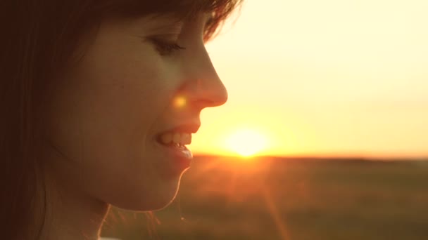 Schöne Mädchen pustet schöne Seifenblasen im Park bei Sonnenuntergang im Frühling, Sommer und lächelt. Zeitlupe. junges Mädchen, das in der Sonne ruht. Urlaubskonzept — Stockvideo