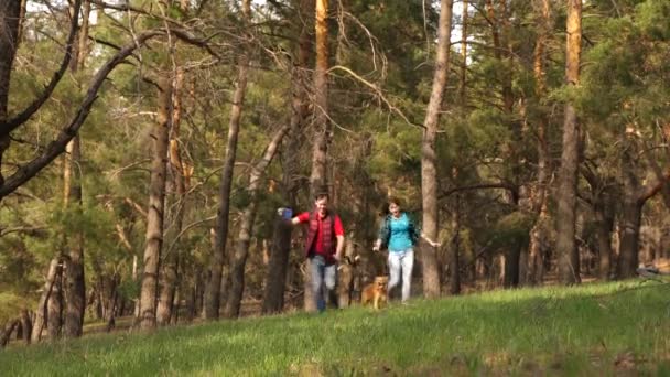 Lyckligt par går hand i hand med obak genom skogen. Familjen reser med hund i skogen. resenärer pappa, dotter, husdjur. gemensamt arbete för en vänlig familj. begreppet idrotts familj rekreation i naturen. — Stockvideo