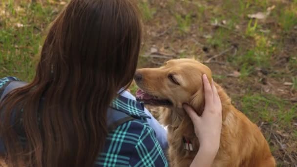 Σέξι κορίτσι εκπαιδεύει το σκυλί. Καλή εκτροφέας σκύλων που περπατάει με το σκυλί. Ταξιδιώτης με σακίδιο. Δωρεάν ιδιοκτήτης και κατοικίδιο ζώο. — Αρχείο Βίντεο