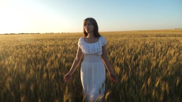 Kvinna går över fältet med gyllene vete mot himlen. miljövänligt vete. vacker flicka går över ett fält av moget vete och vidrör ax med händerna. Långsamma rörelser. — Stockvideo