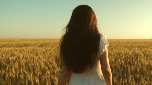 Vrouw reist het veld met gouden tarwe. mooi meisje wandelen op het gebied van rijpe tarwe. Slow Motion. Biologische tarwe. ecologisch toerisme. Achteraanzicht. — Stockvideo