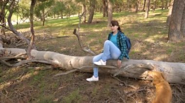 Omuzlarında sırt çantası olan kız yolcu, sırtA ayakkabı bağcıkları bağlayıp bir köpekle yürüyor. Köpek yetiştiricisi sevgili köpeğiyle yürüyor. Yolculukta özgür kız. Kendiniz arayın.