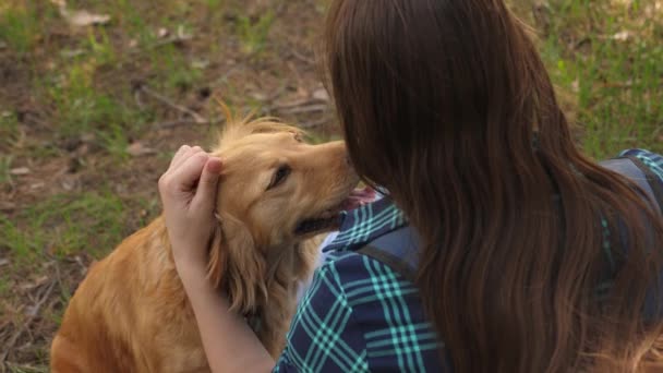 セクシーなブリーダーの女の子は犬を訓練しています。犬と一緒に旅する女性。チームワーク。好きなペット。犬の世話と子育て。女の子は犬をストローク. — ストック動画