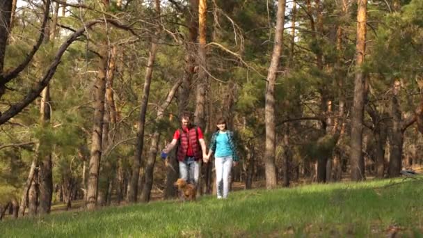 Familie reist met hond in bossen. reizigers vader, dochter, huisdier. gezamenlijk werk van een vriendelijke familie. concept van sport familie recreatie in de natuur. gelukkig paar wandelen hand in hand. toeristen met een hond. — Stockvideo