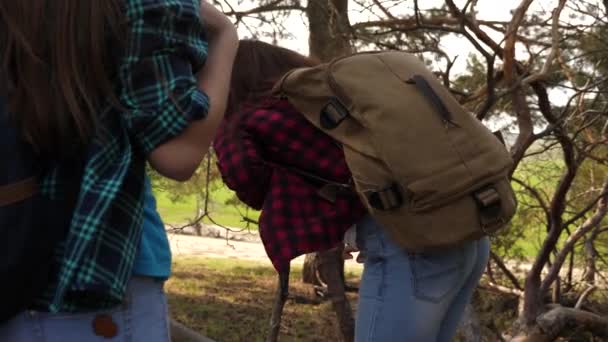 Sexy reiziger meisjes met rugzakken op hun schouders genieten van de vrijheid van reizen. Vriendinnen lachen om obstakels. Avonturen in de campagne. Teamwork. Het meisje viel. — Stockvideo