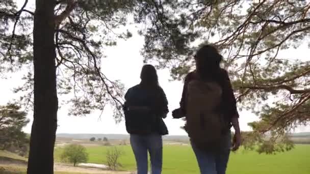 Gelukkige meisjes dansen domme Freestyle dans vrouw genieten van de natuur vieren reizen avontuur beste vrienden — Stockvideo