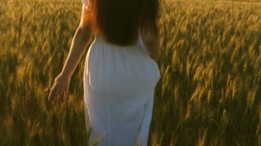 bir kız olgun buğday bir alan üzerinde yürüyor ve elleri ile tahıl kulakları dokunur. Yavaş hareket. Gökyüzüne karşı altın buğday ile alan üzerinde çalışan güzel kadın.