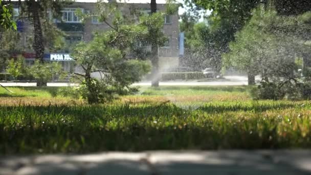Bevattningssystem sprutar vatten på gräsmattan. vacker park, är trädgården vattnas i en vacker soluppgång. Små droppar vatten sakta faller på det gröna gräset. Slow motion — Stockvideo