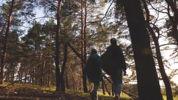 Hiker Girs in een dennenbos. De toerist geniet van het leven en de natuur. vakantie avontuur reizen. Gelukkige familie reist. moeder en dochter reizigers wandelen door het bos met een rugzak. — Stockvideo