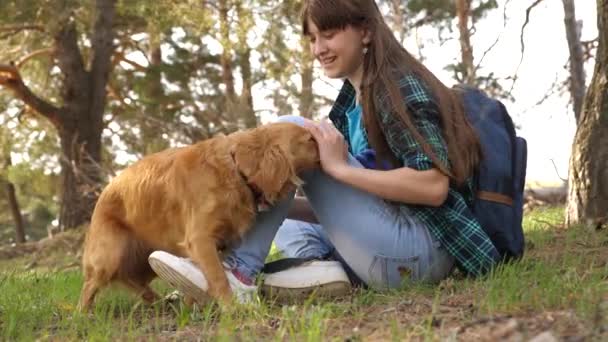 Sexig uppfödaren flicka är bildning en hund. Kvinna resenär med en hund. Lagarbete. Favorithusdjur. Vård och uppfostra hundar. Flickan stroke hunden och ler. — Stockvideo