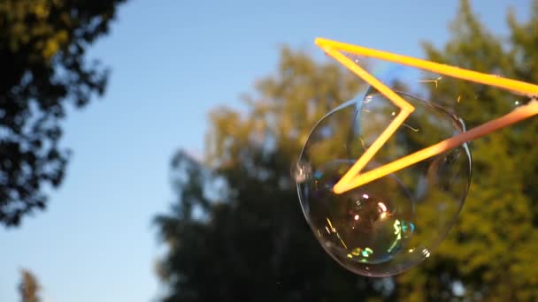 Fille soufflant de grosses bulles dans le parc de la ville contre le ciel bleu. Gros plan. Mouvement lent — Video