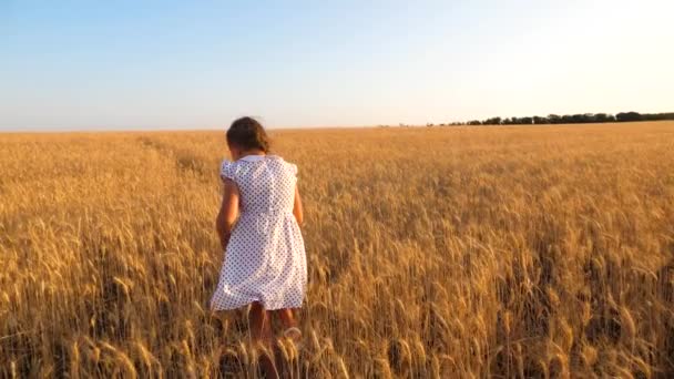 Giovane bella ragazza balla in abito bianco in un campo di grano maturo. bambino felice che gioca sul campo . — Video Stock