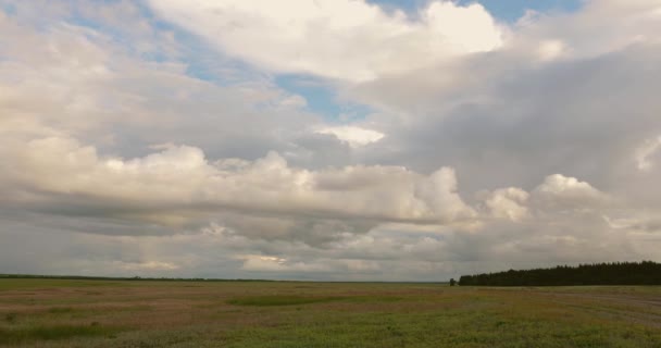 雲は野原や森林の上を低く飛ぶ。美しい夕方の空。雨の前に野原。春の野生の野原の雨雲。時間経過. — ストック動画