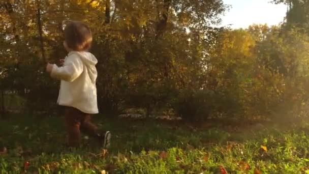 芝生の上でお母さんと遊んで面白い赤ちゃん。赤ちゃんは母親の監督の下で芝生の上を走る。草の上の公園で遊んでいる小さな娘。公園で遊ぶ幸せな小さな子供. — ストック動画