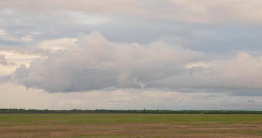 yağmurdan önce alan. bulutlar alan ve orman üzerinde alçak uçmak. güzel akşam gökyüzü. İlkbaharda vahşi tarlada yağmur bulutları. Zaman atlamalı.