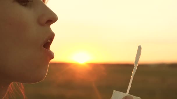 Chica feliz soplando hermosas burbujas de jabón en el parque. Primer plano. labios de una joven mujer soplando burbujas en una hermosa luz. Movimiento lento . — Vídeos de Stock