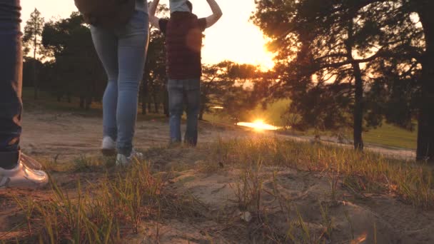 Viajantes pai com filhas e mãe viajar na floresta. Caminhante. a família anda na floresta. família com crianças viajar com mochilas. Família feliz de turistas em férias. conceito de turismo desportivo . — Vídeo de Stock