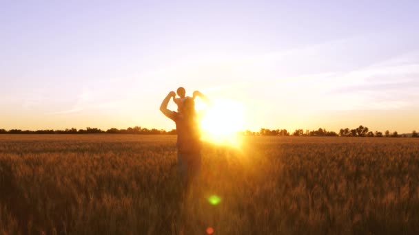 Dad with a small child on his shoulders goes on a yellow field with wheat in rays of a beautiful sunset. — Stock Video