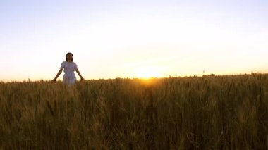 Güzel kız koştu ve günbatımı kızdırma ve smill altın buğday ile araziyi şemp fnd smill. Ağır çekim