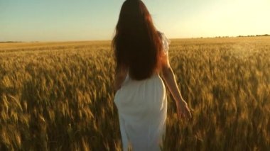 sarı buğday alanında yürüyen güzel kız. kadın gökyüzüne karşı olgun buğday ile tarlada seyahat. Yavaş çekim. organik buğday. ekolojik turizm