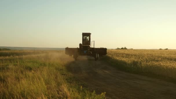 Farmer rides an old combine to work. Combine harvester goes on the way to harvest wheat. old tract. Wheat field. agriculture concept. agricultural business. — Stock Video